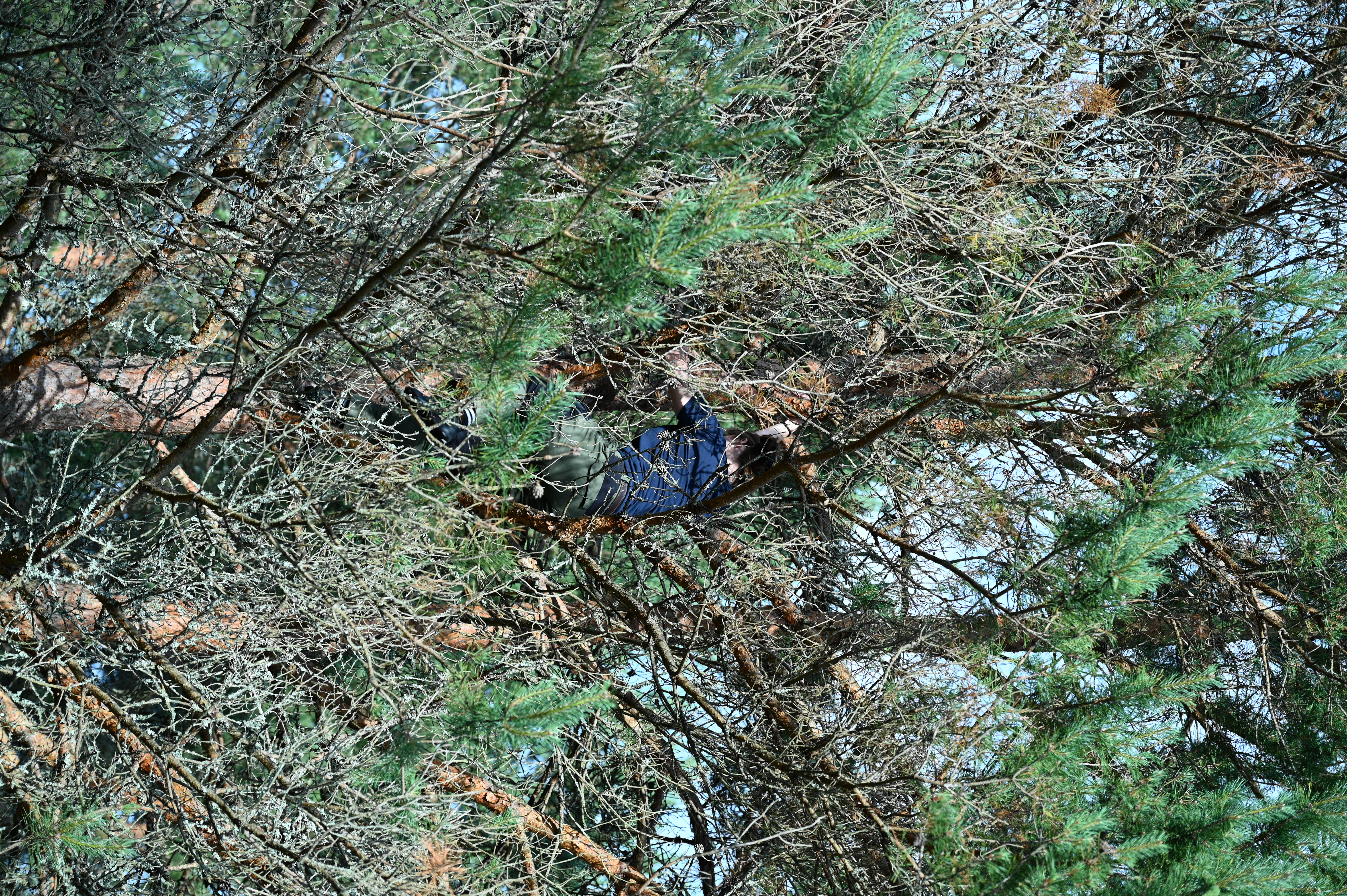 2025/07/09-14 - trip/DSC_0028.JPG